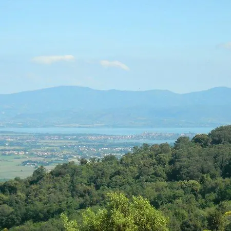 Miralaghi